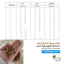 غذای گربه رنال با مشکل کلیه رویال کنین