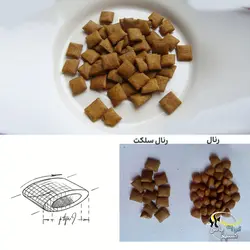 غذای گربه رنال با مشکل کلیه رویال کنین