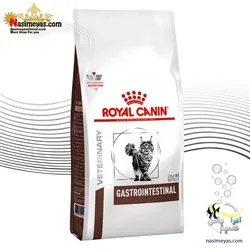 غذای گربه با مشکل دستگاه گوارش گسترواینتستینال رویال کنین