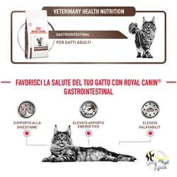 غذای گربه با مشکل دستگاه گوارش گسترواینتستینال رویال کنین