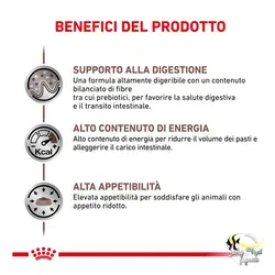 غذای گربه با مشکل دستگاه گوارش گسترواینتستینال رویال کنین