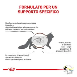 غذای گربه با مشکل دستگاه گوارش گسترواینتستینال رویال کنین