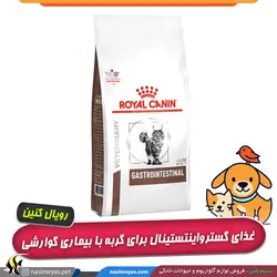 غذای گربه با مشکل دستگاه گوارش گسترواینتستینال رویال کنین