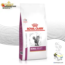 غذای گربه رنال سلکت با مشکل کلیه رویال کنین