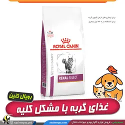 غذای گربه رنال سلکت با مشکل کلیه رویال کنین