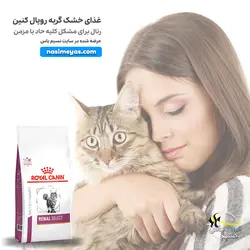 غذای گربه رنال سلکت با مشکل کلیه رویال کنین
