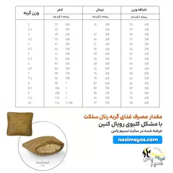 غذای گربه رنال سلکت با مشکل کلیه رویال کنین