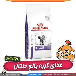 غذای خشک گربه دنتال رویال کنین