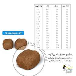 غذای خشک گربه دنتال رویال کنین