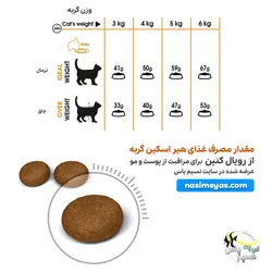 غذای گربه هیر اسکین مراقبت از پوست و مو رویال کنین