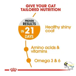 غذای گربه هیر اسکین مراقبت از پوست و مو رویال کنین