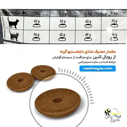 غذای گربه مراقبت از گوارش دایجستیو رویال کنین