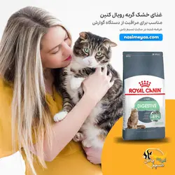 غذای گربه مراقبت از گوارش دایجستیو رویال کنین