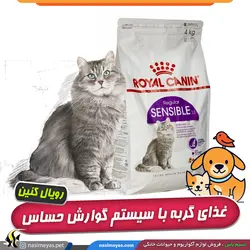 غذای گربه با دستگاه گوارش حساس سنسیبل 33 رویال کنین