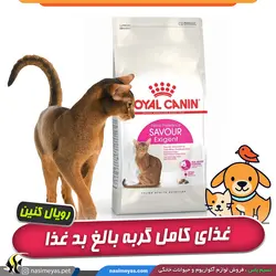 غذای سیور اکسیجنت گربه های بد غذا رویال کنین
