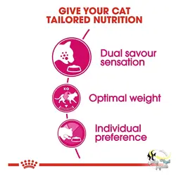 غذای سیور اکسیجنت گربه های بد غذا رویال کنین