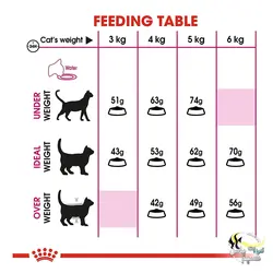 غذای سیور اکسیجنت گربه های بد غذا رویال کنین