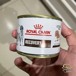 کنسرو ریکاوری مشترک سگ و گربه رویال کنین