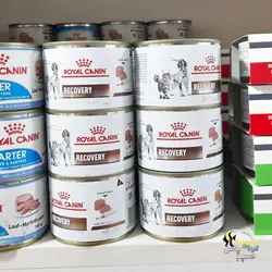 کنسرو ریکاوری مشترک سگ و گربه رویال کنین