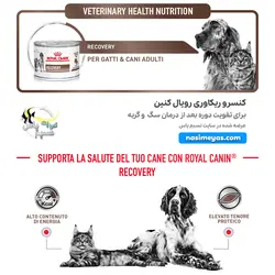 کنسرو ریکاوری مشترک سگ و گربه رویال کنین
