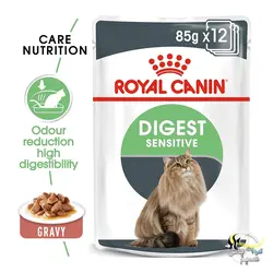 پوچ گربه دایجست سنسیتیو با معده حساس رویال کنین