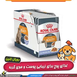 غذای پوچ گربه اینتنس بیوتی تقویت موی گربه رویال کنین