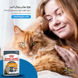 غذای پوچ گربه اینتنس بیوتی تقویت موی گربه رویال کنین