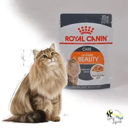 غذای پوچ گربه اینتنس بیوتی تقویت موی گربه رویال کنین