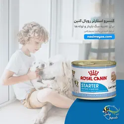 کنسرو استارتر سگ باردار و توله رویال کنین