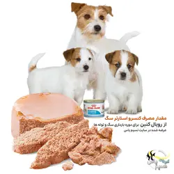 کنسرو استارتر سگ باردار و توله رویال کنین