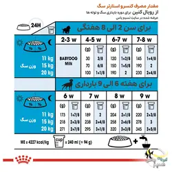 کنسرو استارتر سگ باردار و توله رویال کنین