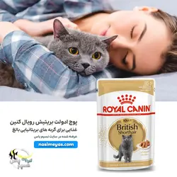 غذای پوچ گربه ادولت بریتیش رویال کنین