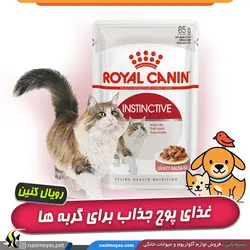 غذای پوچ گربه اینسکتیو رویال کنین