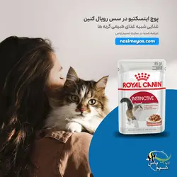 غذای پوچ گربه اینسکتیو رویال کنین