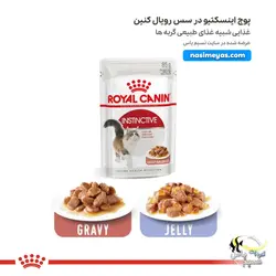 غذای پوچ گربه اینسکتیو رویال کنین
