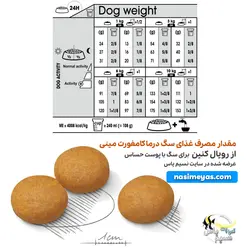 غذای سگ با پوست حساس مینی درماکامفورت رویال کنین