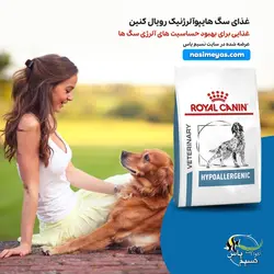غذای خشک سگ هایپو آلرژنیک رویال کنین