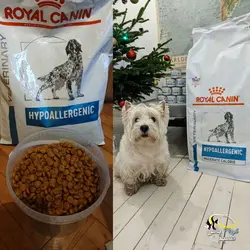 غذای خشک سگ هایپو آلرژنیک رویال کنین