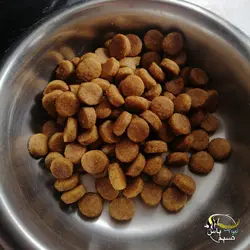 غذای خشک سگ هایپو آلرژنیک رویال کنین