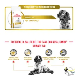 غذای خشک سگ یورینری با مشکل ادراری رویال کنین