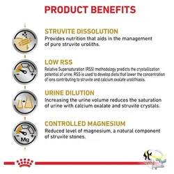 غذای خشک سگ یورینری با مشکل ادراری رویال کنین