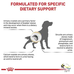 غذای خشک سگ یورینری با مشکل ادراری رویال کنین