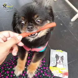 استیک تشویقی سگ دوبل مغز دار با مرغ و پنیر جرهای