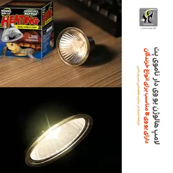 لامپ یو وی دار هالوژنی خزندگان و تراریوم ND-10 ناموی پت