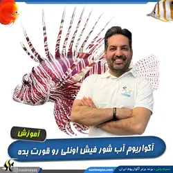 دوره آموزش تخصصی راه اندازی آکواریوم های آب شور فیش اونلی