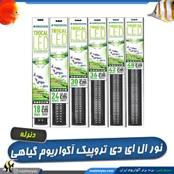 نور ال ای دی تروپیکال آکواریوم گیاهی دنرله