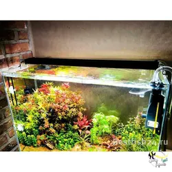 نور ال ای دی تروپیکال آکواریوم گیاهی دنرله