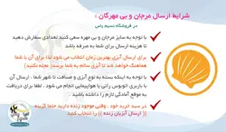 حلزون لئوپارد آب شور