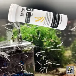 قرص ضد کرم پلاناریا دکتر تانک