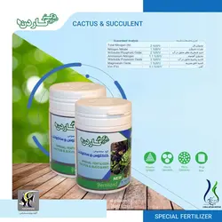 کود مخصوص کاکتوس و ساکولنت دکتر گاردن